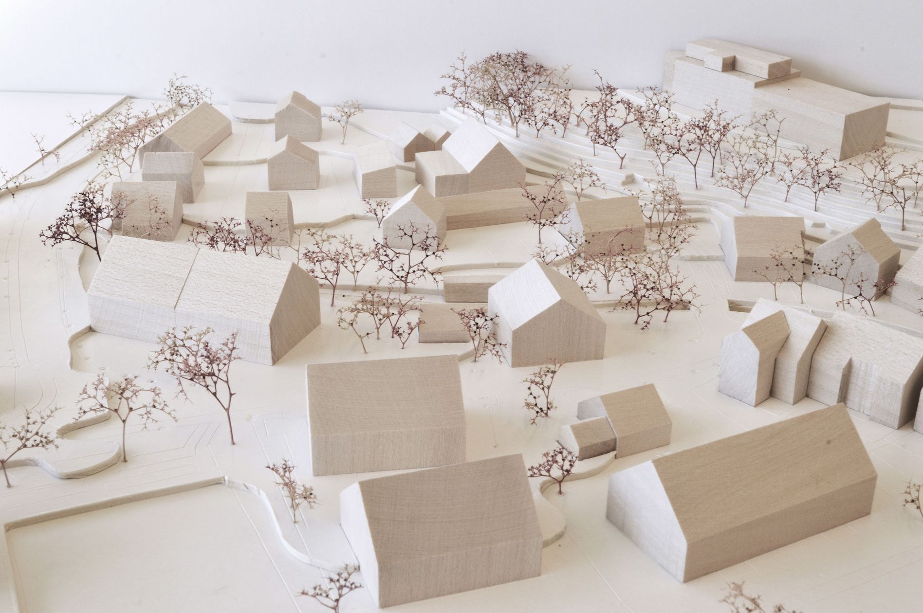 ch 2044 birchwiler 2