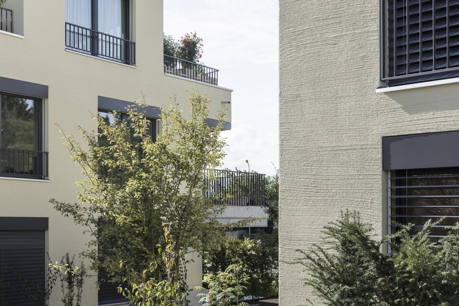 ch 2064 schmittenbach 8