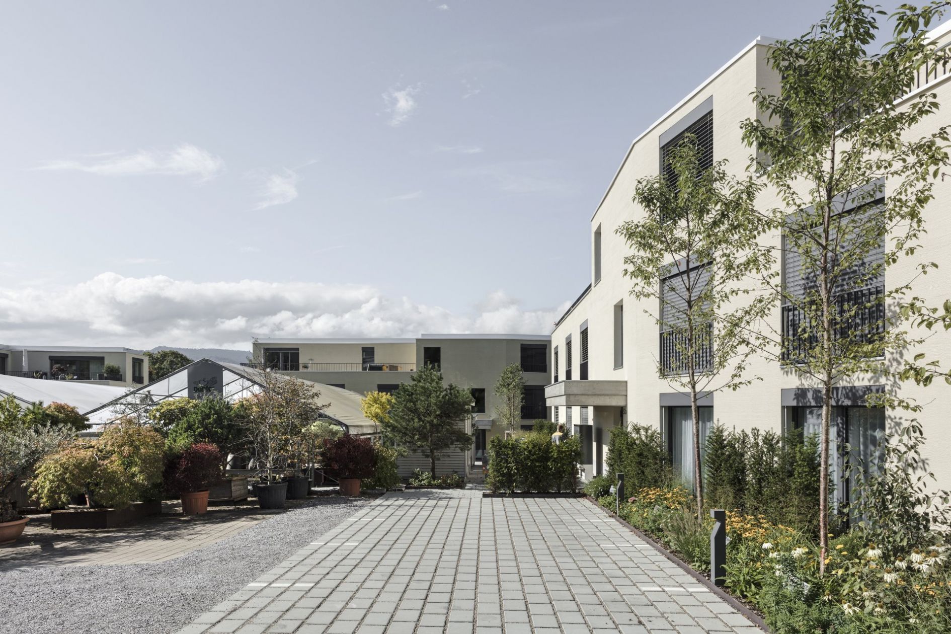 ch 2064 schmittenbach 9